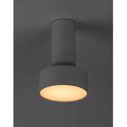 Rabalux - LED loftlampe LED/10W/230V 3000K hvid