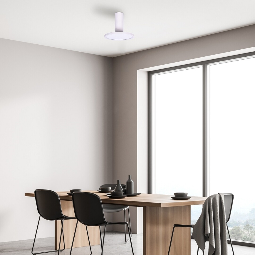 Rabalux - LED loftlampe LED/20W/230V 3000K hvid