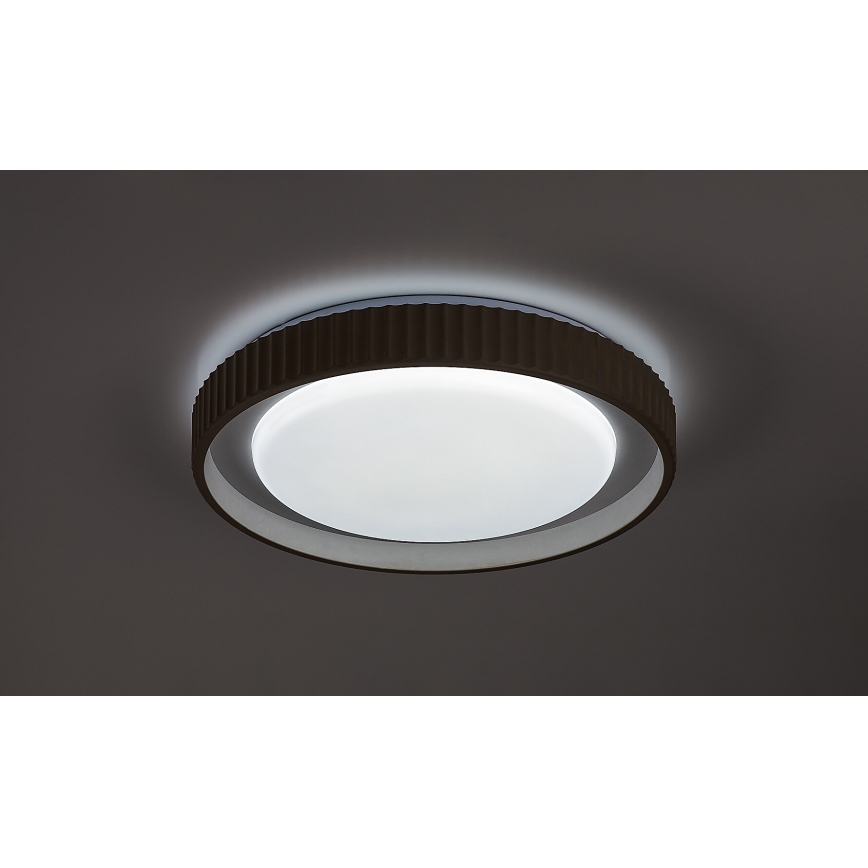 Rabalux - Dæmpbar LED-loftlampe LED/48W/230V 3000-6500K Ø 49,5 cm + fjernbetjening