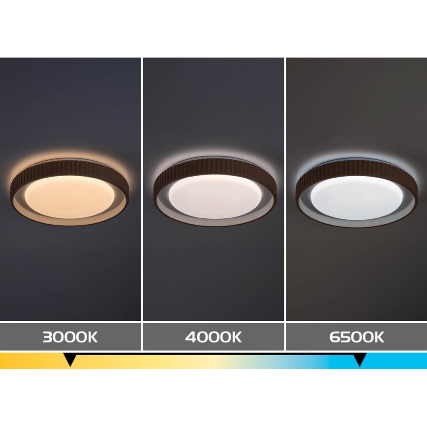 Rabalux - Dæmpbar LED-loftlampe LED/48W/230V 3000-6500K Ø 49,5 cm + fjernbetjening