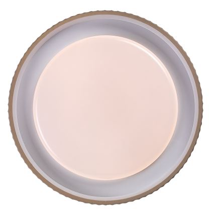 Rabalux - Dæmpbar LED-loftlampe LED/48W/230V 3000-6500K Ø 49,5 cm + fjernbetjening