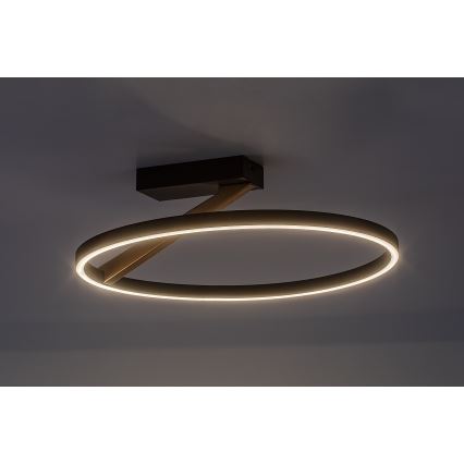 Rabalux - LED loftlampe LED/24W/230V 3000K Ø 45 cm