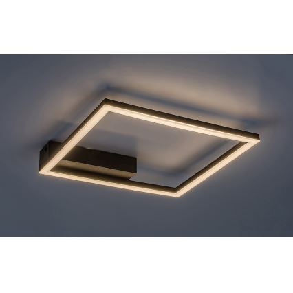 Rabalux - LED loftlampe LED/24W/230V 3000K