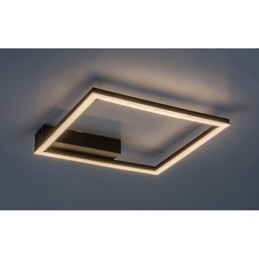 Rabalux - LED loftlampe LED/24W/230V 3000K