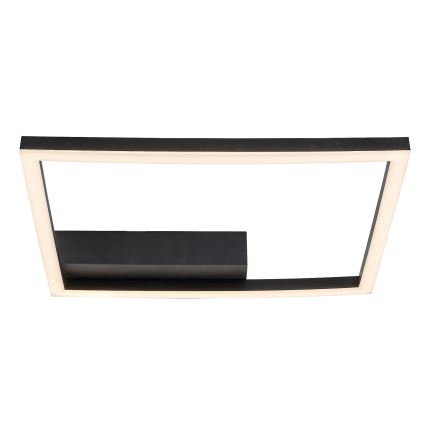 Rabalux - LED loftlampe LED/24W/230V 3000K