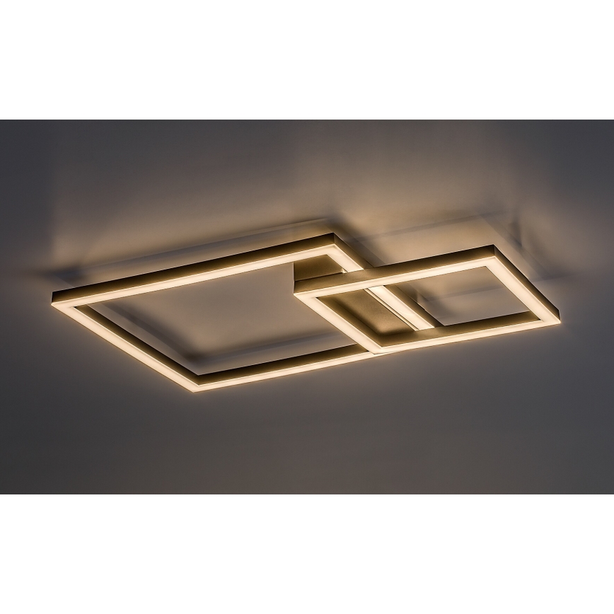 Rabalux - LED loftlampe LED/24W/230V 3000K