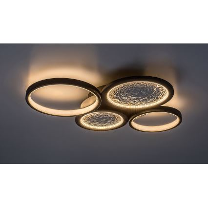Rabalux - LED loftlampe dæmpbar LED/40W/230V 3000-6500K + fjernbetjening