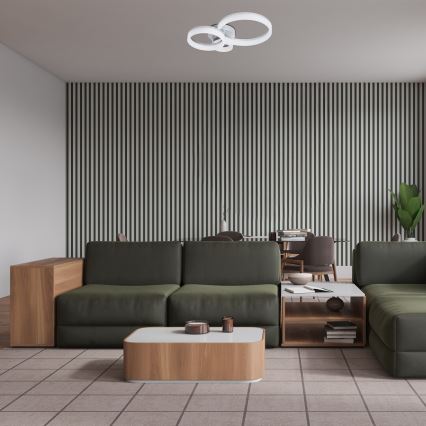 Rabalux - LED loftarmatur LED/24W/230V 3000/4000/6500K 38x51 cm mat krom