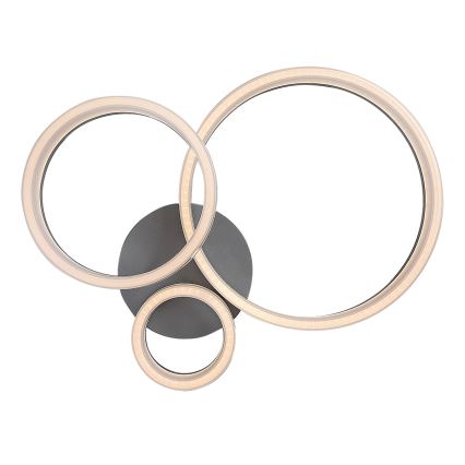 Rabalux - LED loftarmatur LED/24W/230V 3000/4000/6500K 38x51 cm mat krom