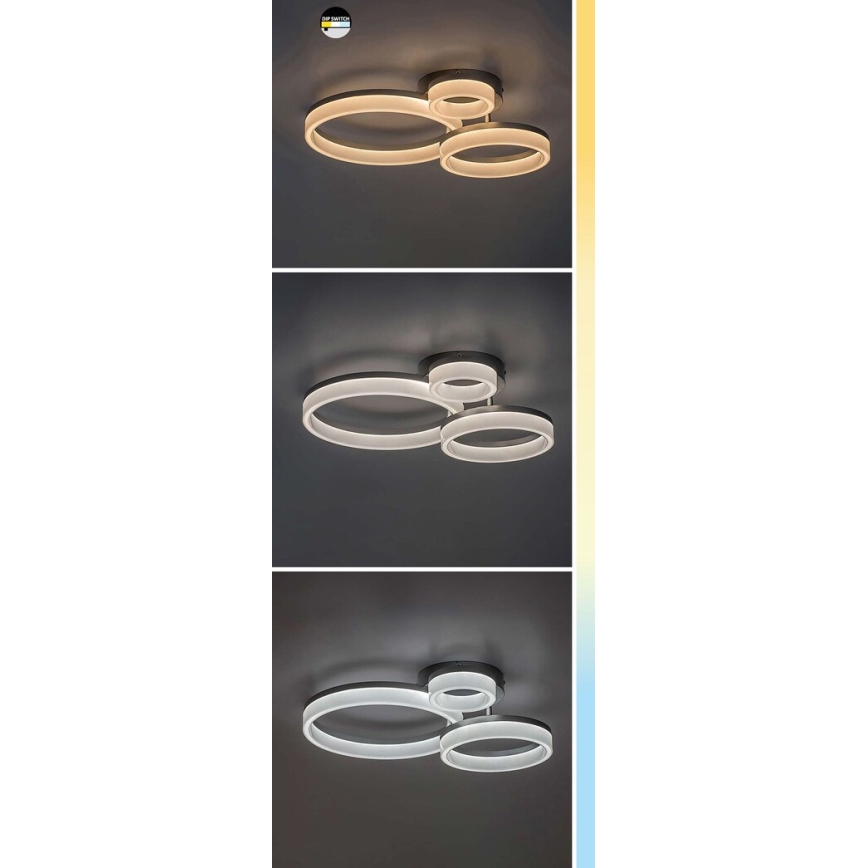 Rabalux - LED loftarmatur LED/24W/230V 3000/4000/6500K 38x51 cm mat krom