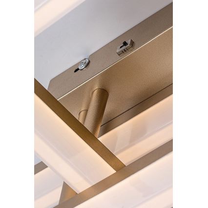 Rabalux - LED loftlampe LED/22W/230V 3000/4000/6500K guldfarvet