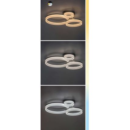 Rabalux - LED loftlampe LED/24W/230V 3000/4000/6500K sort