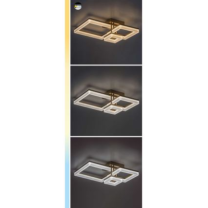 Rabalux - LED loftlampe LED/22W/230V 3000/4000/6500K mat krom