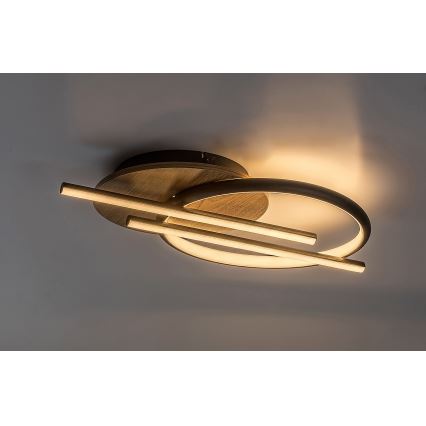 Rabalux - LED loftlampe LED/40W/230V 3000/4000/6500K