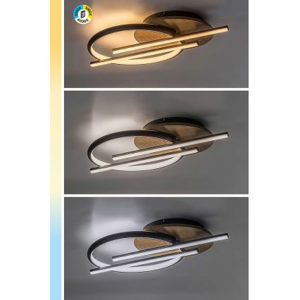 Rabalux - LED loftlampe LED/40W/230V 3000/4000/6500K