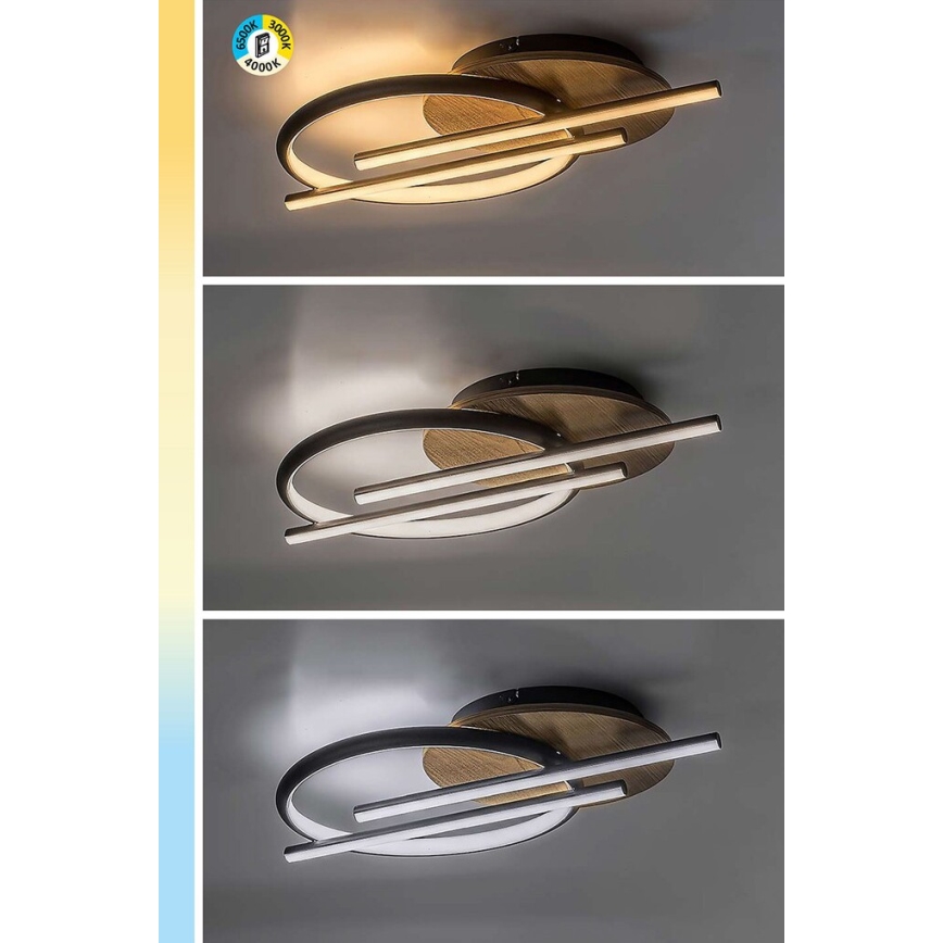 Rabalux - LED loftlampe LED/40W/230V 3000/4000/6500K