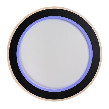 Rabalux - LED loftlampe dæmpbar RGB-farver LED/22W/230V 3000-6500K + fjernbetjening