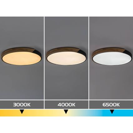 Rabalux - LED loftlampe LED/42W/230V 3000/4000/6500K sort/eg Ø 41 cm