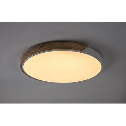 Rabalux - LED loftlampe LED/40W/230V 3000/4000/6500K hvid/eg Ø 61 cm