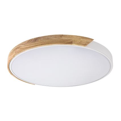 Rabalux - LED loftlampe LED/40W/230V 3000/4000/6500K hvid/eg Ø 61 cm