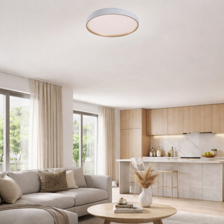 Rabalux - Dæmpbar LED-loftlampe LED/60W/230V 3000-6500K Ø 58 cm + fjernbetjening