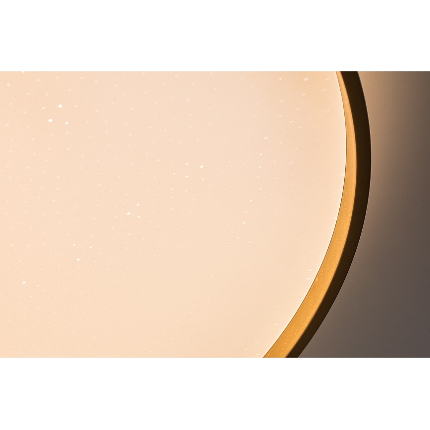 Rabalux - Dæmpbar LED-loftlampe LED/60W/230V 3000-6500K Ø 58 cm + fjernbetjening