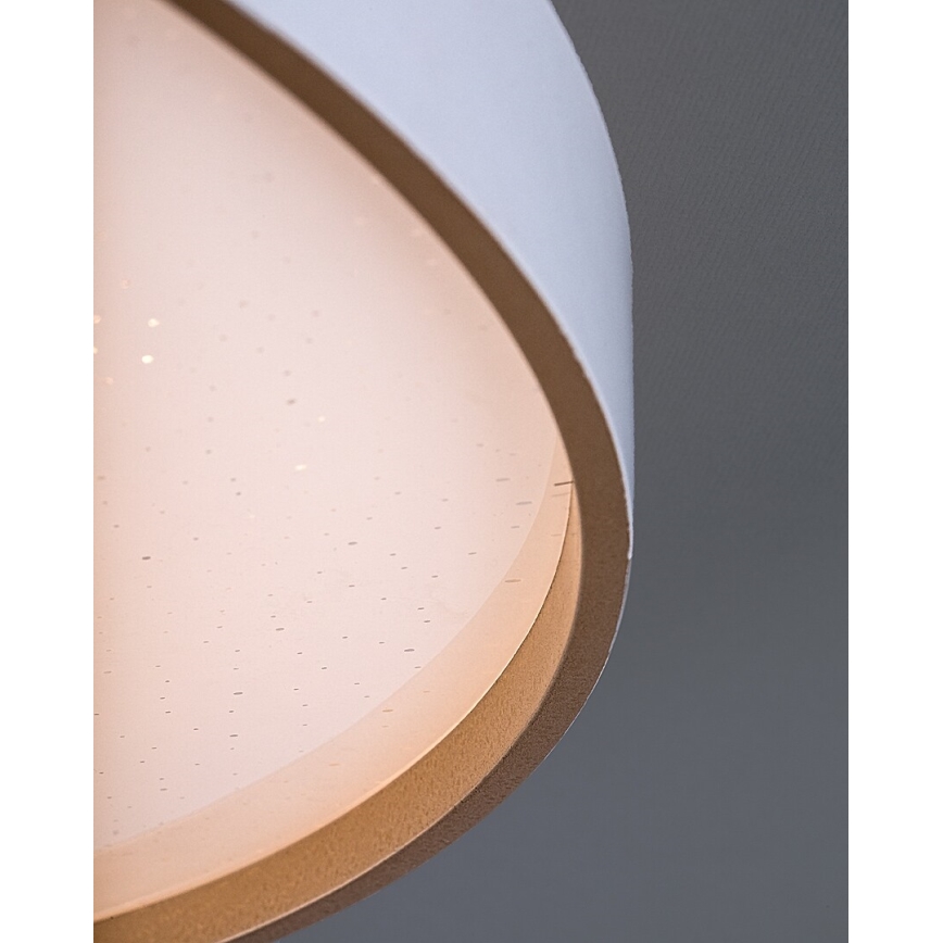 Rabalux - Dæmpbar LED-loftlampe LED/60W/230V 3000-6500K Ø 58 cm + fjernbetjening