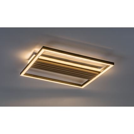 Rabalux - LED-loftlampe LED/30W/230V 3000/4500/6000K