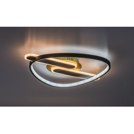 Rabalux - Dæmpbar LED-loftlampe LED/60W/230V 3000-6000K 53x45 cm + fjernbetjening