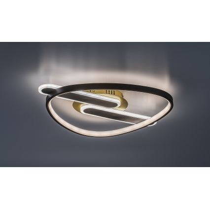 Rabalux - Dæmpbar LED-loftlampe LED/60W/230V 3000-6000K 53x45 cm + fjernbetjening