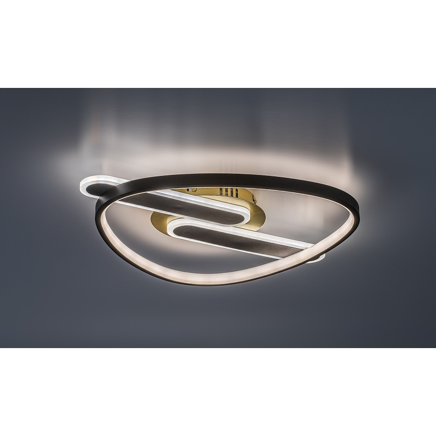 Rabalux - Dæmpbar LED-loftlampe LED/60W/230V 3000-6000K 53x45 cm + fjernbetjening