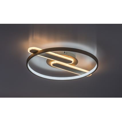 Rabalux - Dæmpbar LED-loftlampe LED/55W/230V 3000-6000K 53x45 cm + fjernbetjening