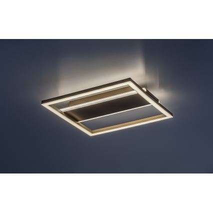 Rabalux - LED loftlampe LED/24W/230V 33x33 cm