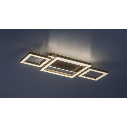 Rabalux - LED-loftlampe LED/24W/230V 51,5x22 cm