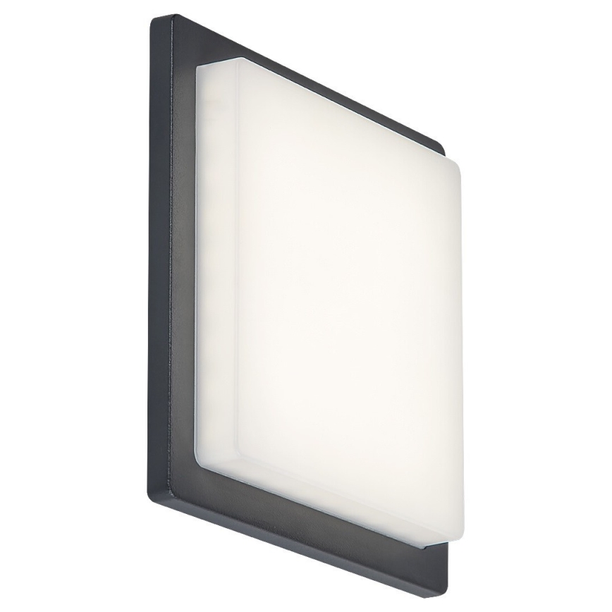 Rabalux - Udendørs LED væglampe LED/8W/230V IP65