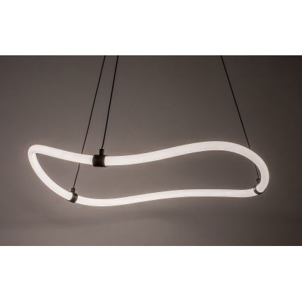 Rabalux - LED pendel LED/34W/230V 4000K