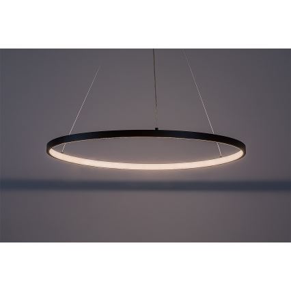 Rabalux - LED pendel med kabel LED/55W/230V 3000K