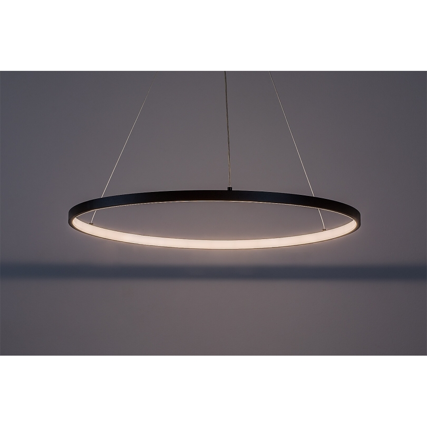Rabalux - LED pendel med kabel LED/55W/230V 3000K