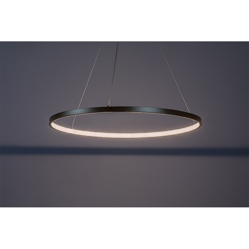 Rabalux - LED-pendel på kabel LED/55W/230V 3000K