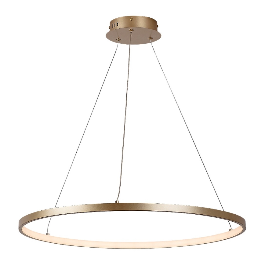 Rabalux - LED-pendel på kabel LED/55W/230V 3000K