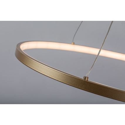Rabalux - LED-pendel på kabel LED/55W/230V 3000K