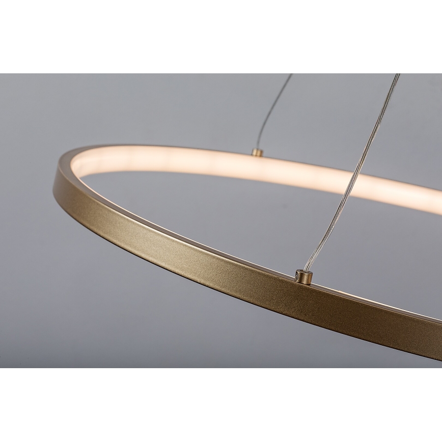 Rabalux - LED-pendel på kabel LED/55W/230V 3000K