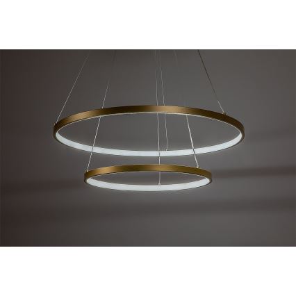 Rabalux - LED-dæmpbar pendel med wireophæng LED/75W/230V 3000-6500K + fjernbetjening