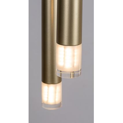Rabalux - Pendel 5xG9/5W/230V guldfarvet