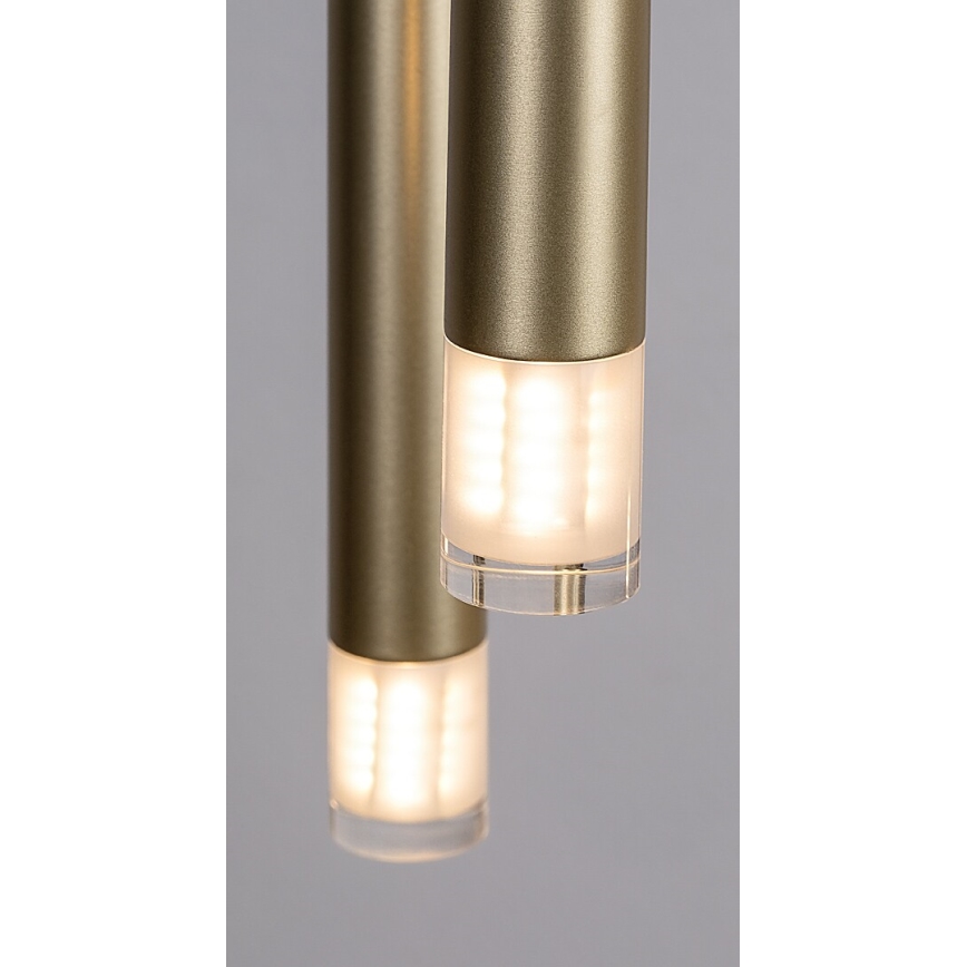 Rabalux - Pendel 5xG9/5W/230V guldfarvet