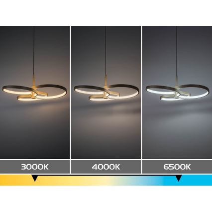 Rabalux - LED-dæmpbar pendel på kabel LED/50W/230V 3000-6500K + fjernbetjening