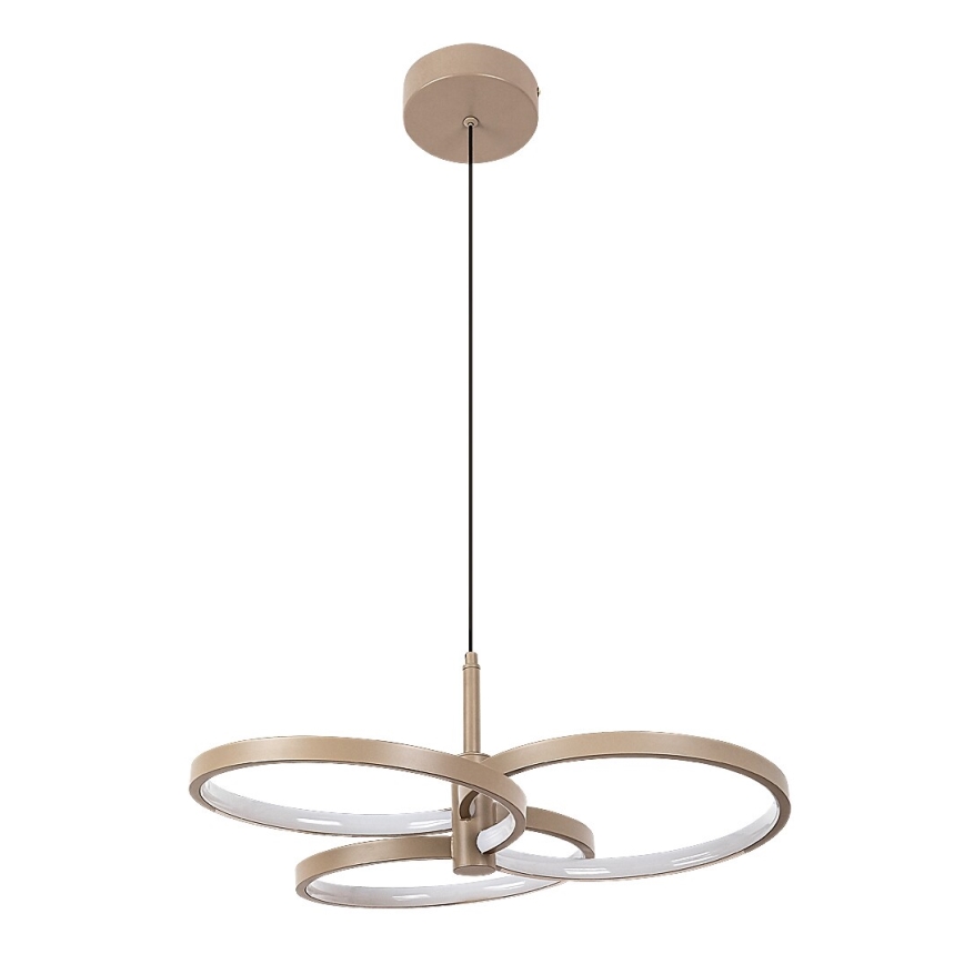 Rabalux - LED-dæmpbar pendel på kabel LED/50W/230V 3000-6500K + fjernbetjening