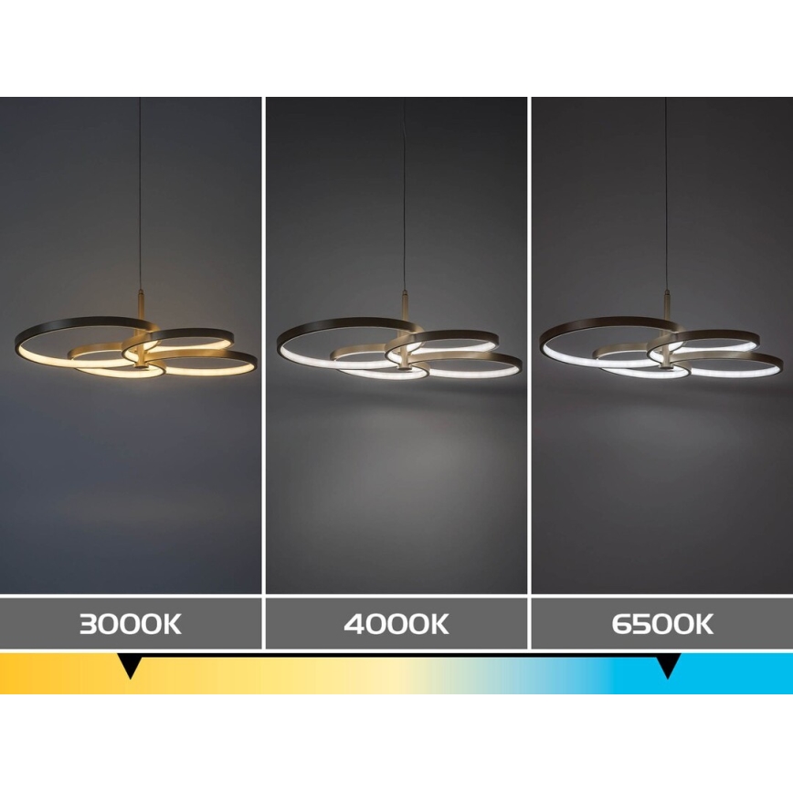 Rabalux - Dæmpbar LED-pendel på kabel LED/70W/230V 3000-6500K + fjernbetjening