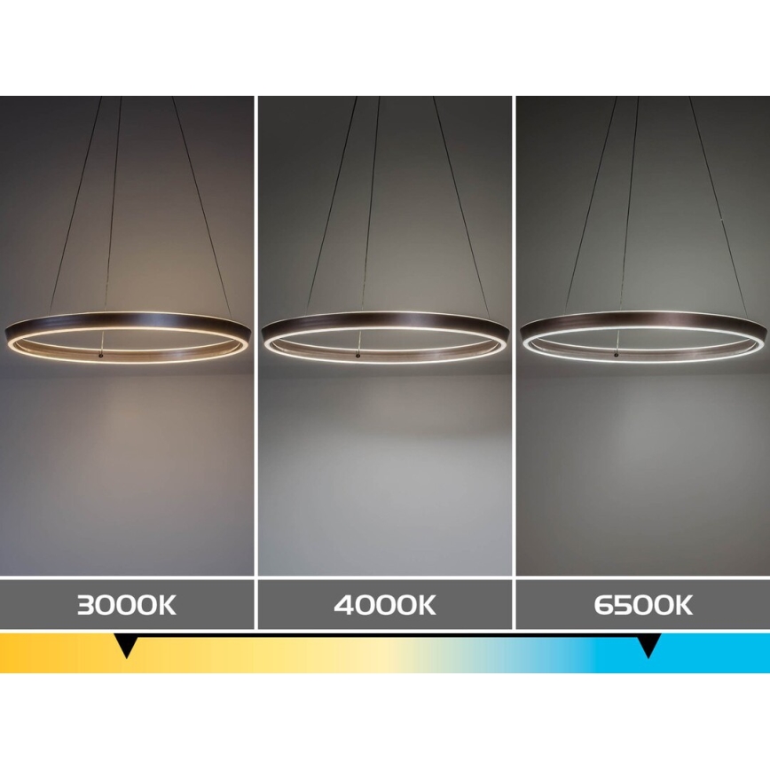 Rabalux - LED-dæmpbar pendel med wireophæng LED/36W/230V 3000-6500K + fjernbetjening