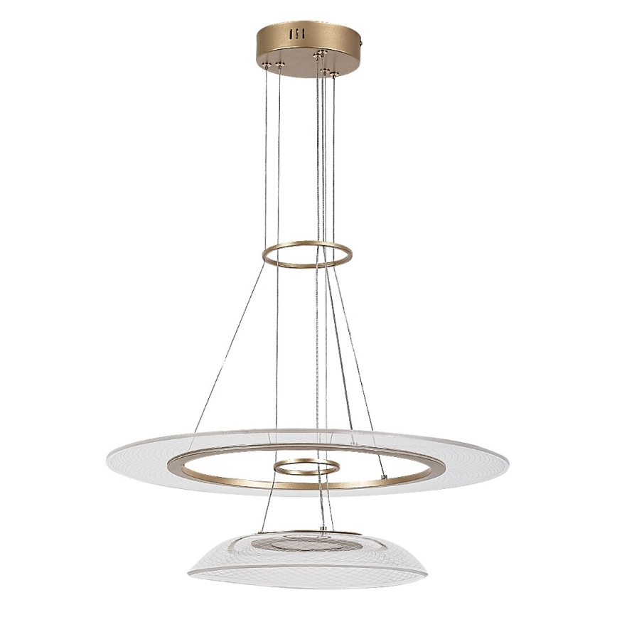 Rabalux - LED-pendel på kabel LED/36W/230V 3000K